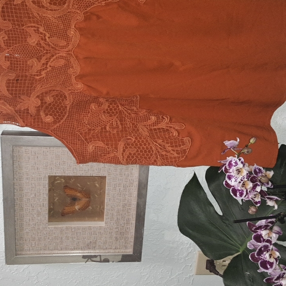 Chelsea28 womens M lace applique top in rusted pumpkin color.🍂🌼😀😍 - Picture 4 of 8